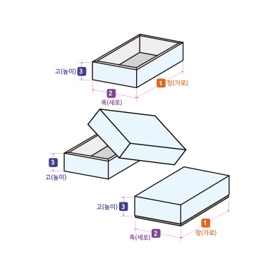 3D 이미지