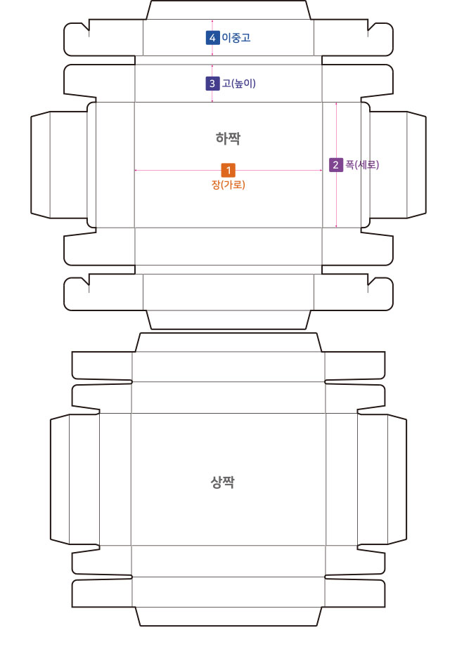 전개도